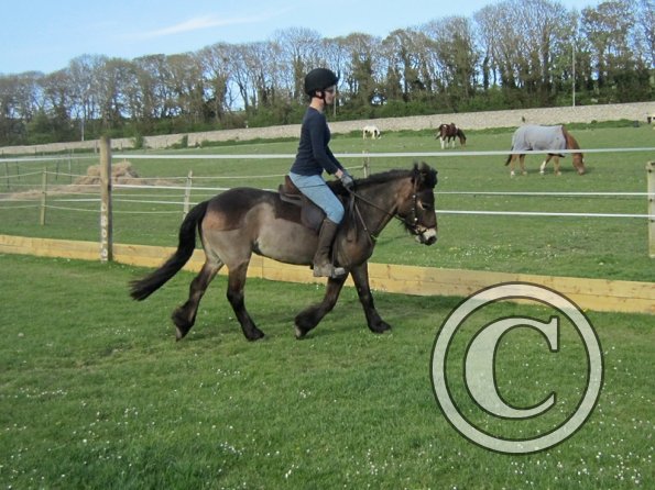 Julia Micklem lesson (17)