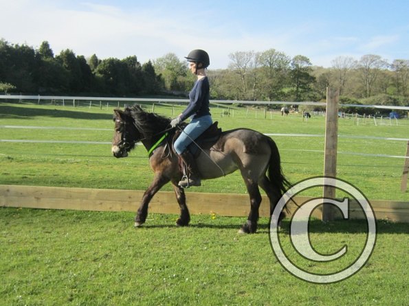 Julia Micklem lesson (3)