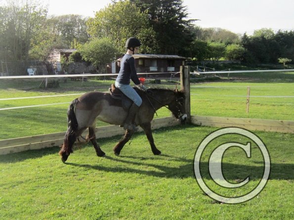 Julia Micklem lesson (5)