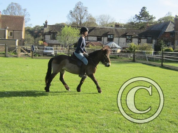 Julia Micklem lesson (6)