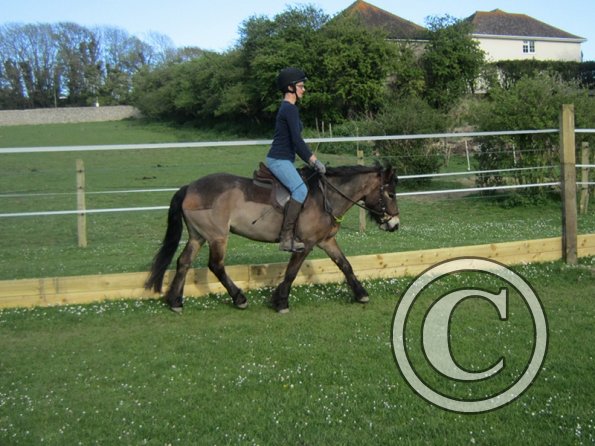 Julia Micklem lesson