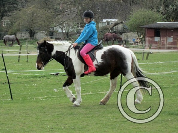 Chloe first lesson on Lizzy (10)