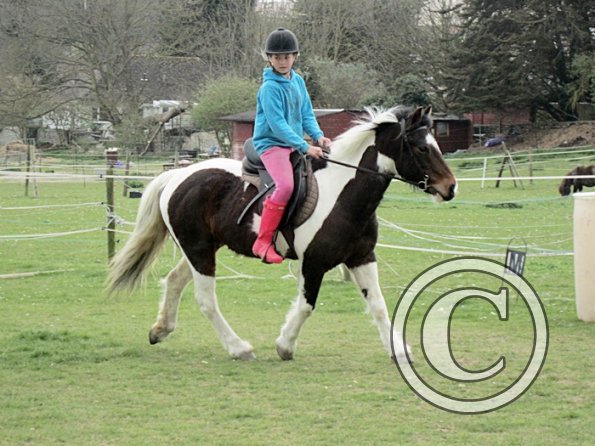 Chloe first lesson on Lizzy (11)
