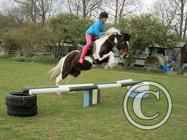 Chloe first lesson on Lizzy (12)