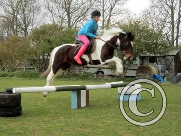 Chloe first lesson on Lizzy (13)