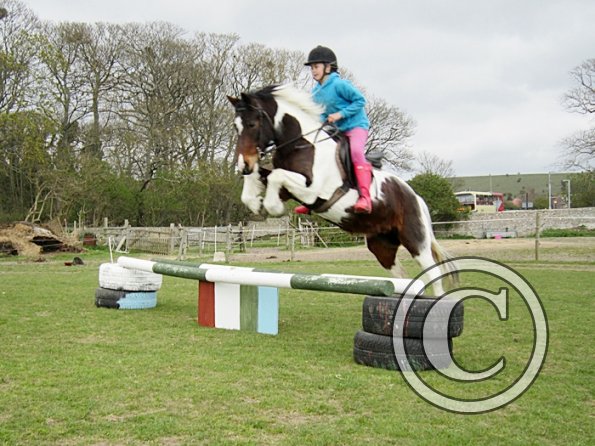 Chloe first lesson on Lizzy (14)