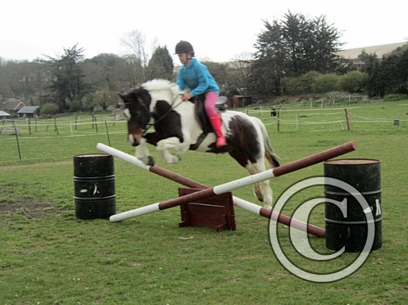 Chloe first lesson on Lizzy (15)