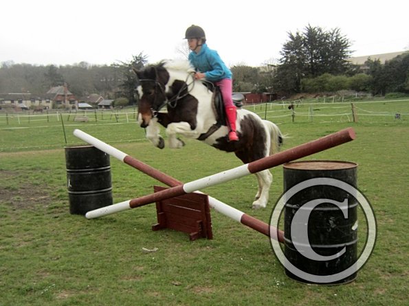 Chloe first lesson on Lizzy (16)