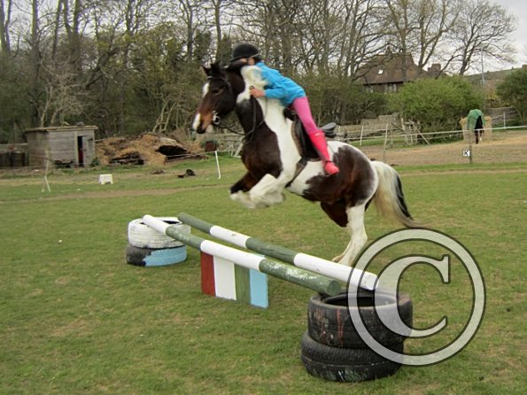 Chloe first lesson on Lizzy (17)