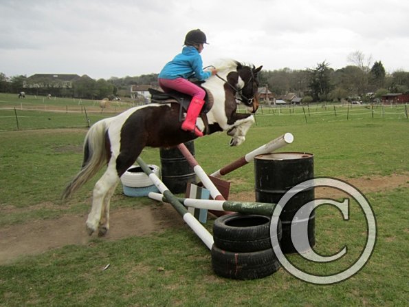 Chloe first lesson on Lizzy (19)