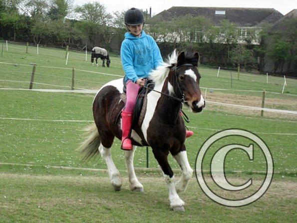 Chloe first lesson on Lizzy (2)