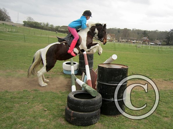 Chloe first lesson on Lizzy (21)