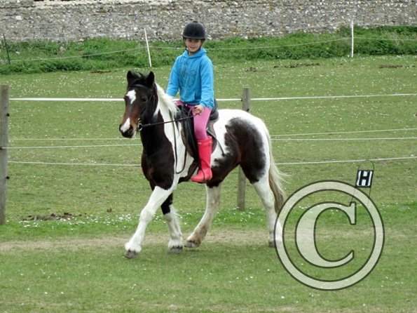 Chloe first lesson on Lizzy (3)