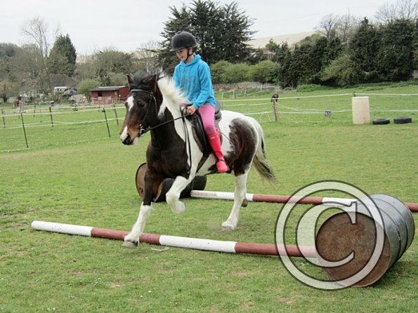 Chloe first lesson on Lizzy (4)