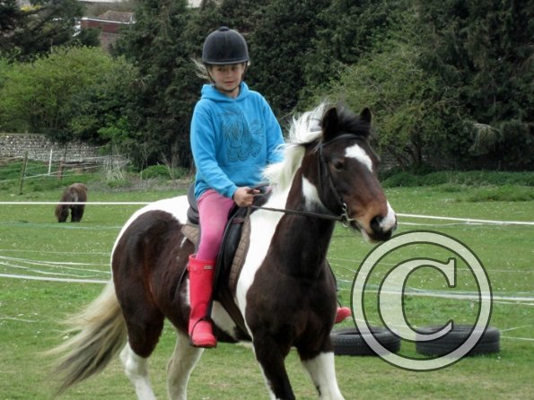 Chloe first lesson on Lizzy (5)