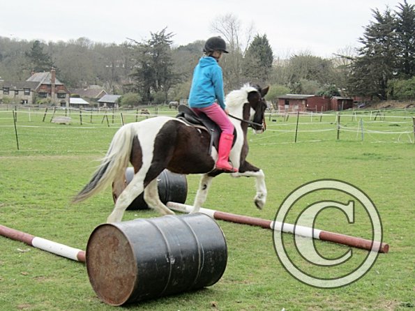 Chloe first lesson on Lizzy (8)