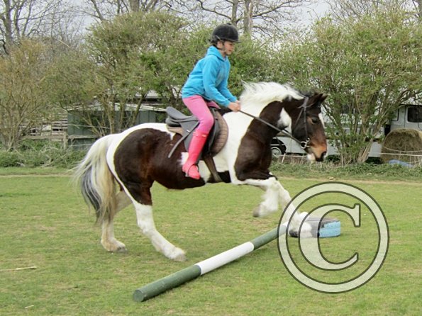 Chloe first lesson on Lizzy (9)