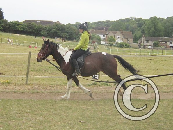 Mia lunge lesson (14)