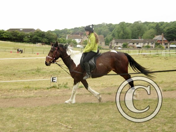 Mia lunge lesson (15)