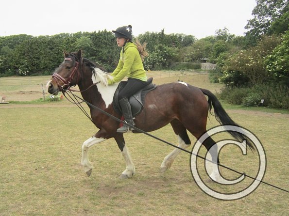 Mia lunge lesson (16)