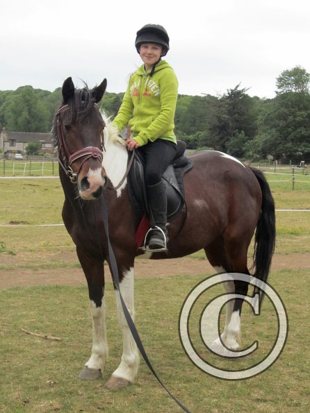 Mia lunge lesson (19)