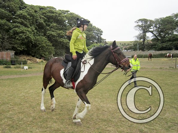 Mia lunge lesson (2)