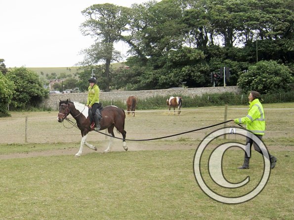 Mia lunge lesson (3)