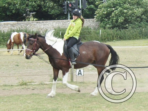 Mia lunge lesson (6)