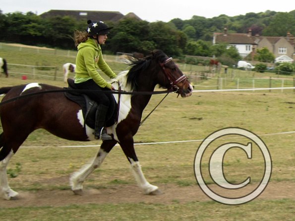 Mia lunge lesson (8)