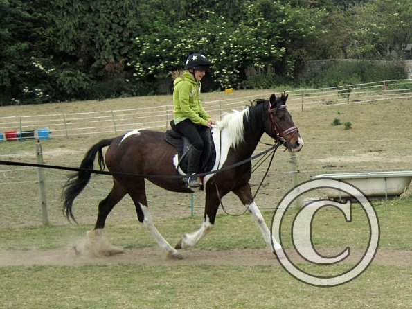 Mia lunge lesson (9)