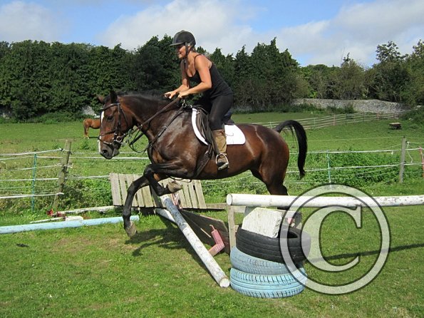 Jumping lesson (4)