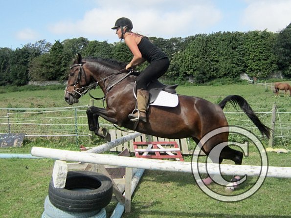 Jumping lesson (5)