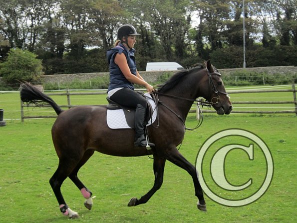 Mandie and Doone (10)