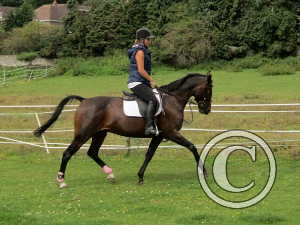 Mandie and Doone (11)