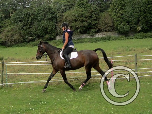 Mandie and Doone (13)