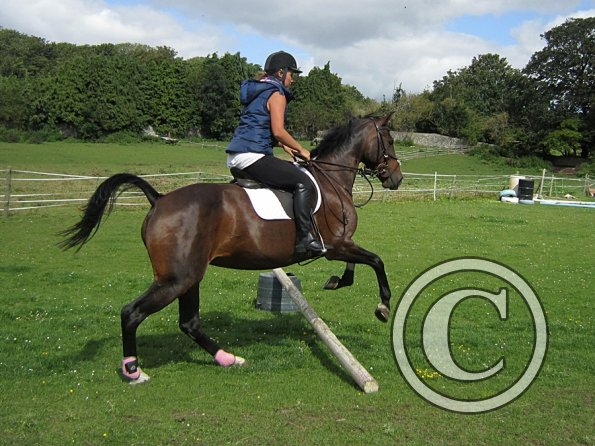 Mandie and Doone (14)