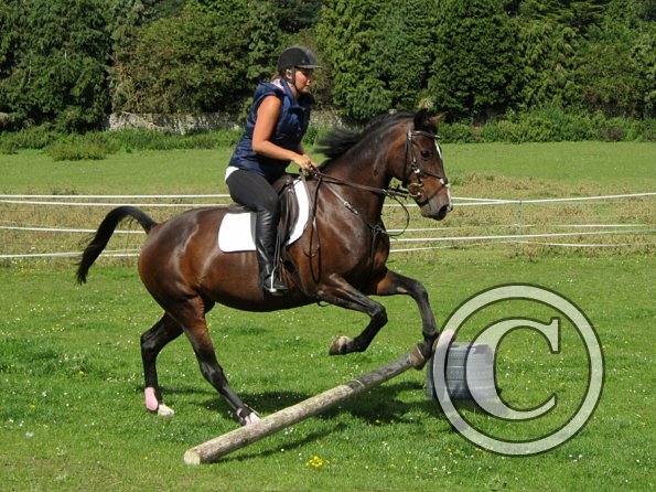 Mandie and Doone (15)