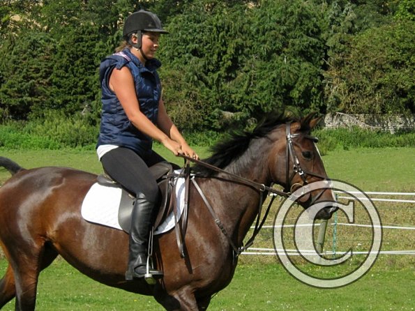 Mandie and Doone (16)