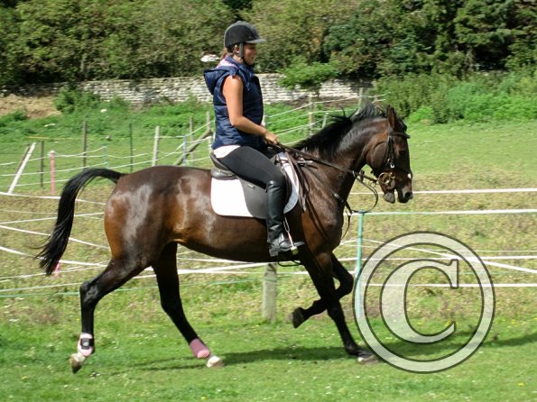 Mandie and Doone (17)