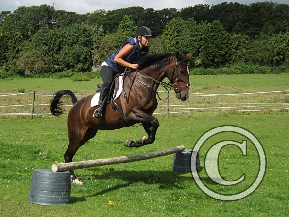 Mandie and Doone (2)