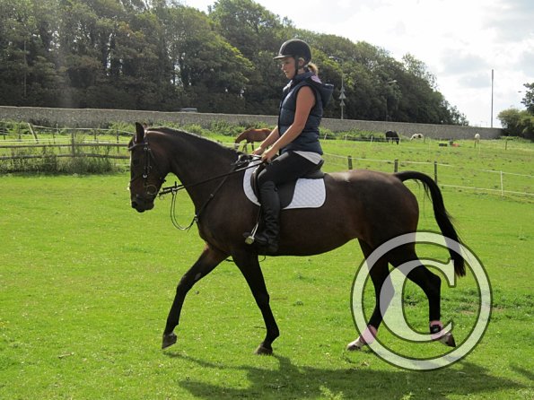 Mandie and Doone (5)