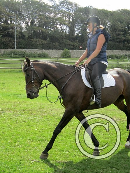 Mandie and Doone (6)