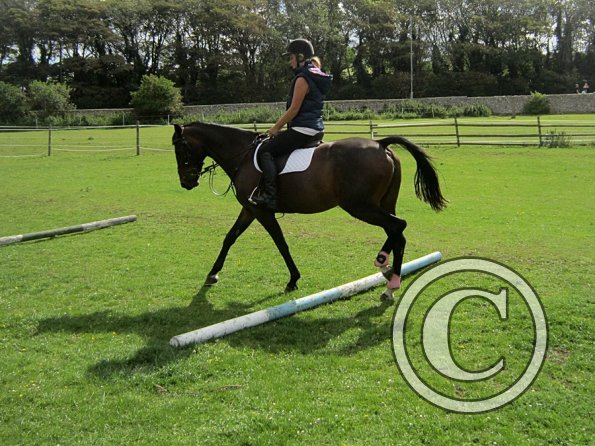 Mandie and Doone (7)