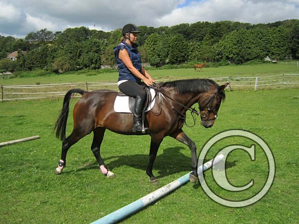 Mandie and Doone (9)