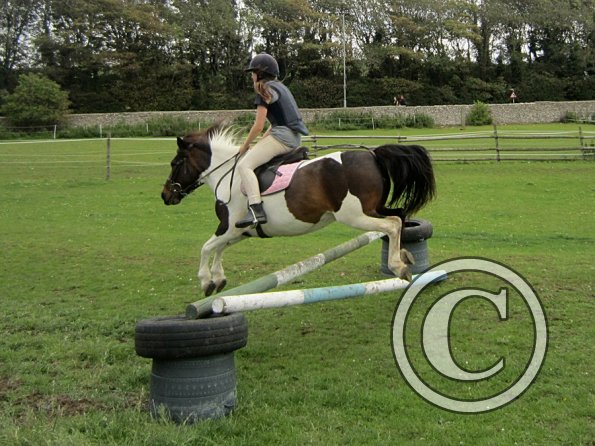 Tilly jumping
