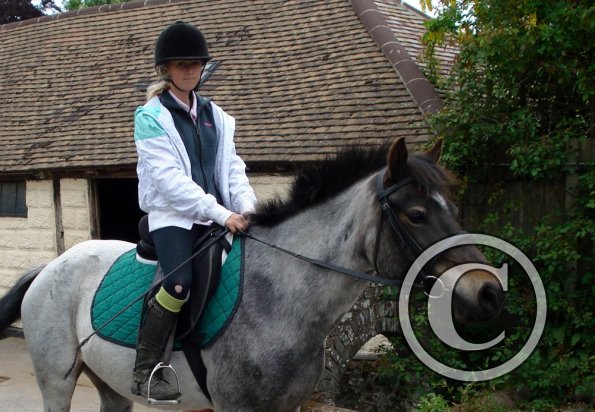 Lily and Dixie posing (2)