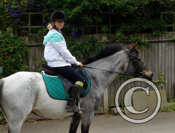 Lily and Dixie posing