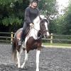 Fee flatwork (10)