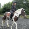 Fee flatwork (12)