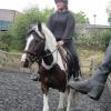 Fee flatwork (13)